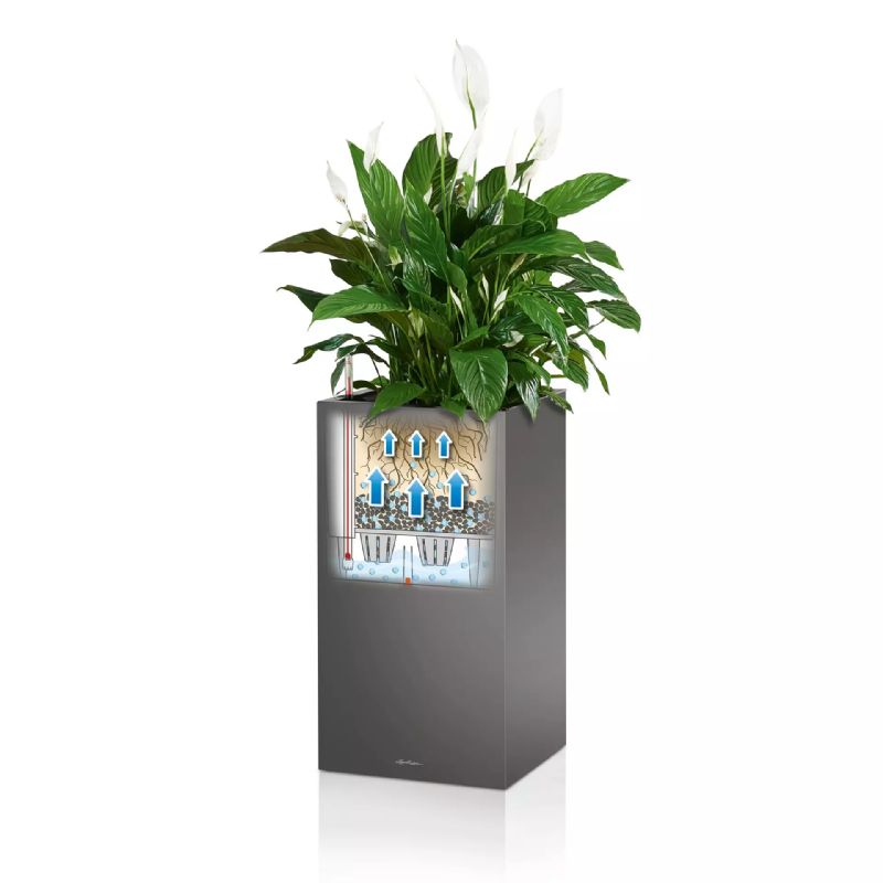 Lechuza CANTO High LED Self-Watering Planters (White High-Gloss)